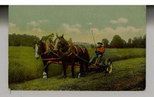 The Harvest Team in the Field