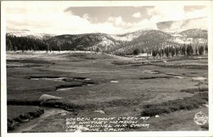 RPPC Golden Trout Creek Big Whitney Meadow Long Pine CA Vintage Postcard A53