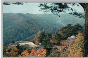 Postcard~Cumberland Gap Overlook..Kentucky/Tennessee