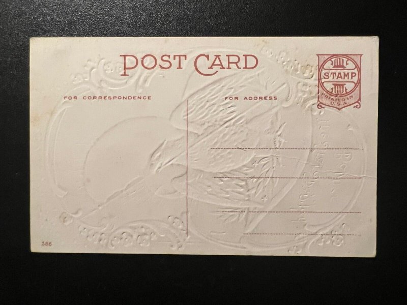 Mint USA Patriotic Postcard The Star Spangled Banner Flag Bald Eagle