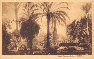 B204 Egypt Ismailia Canal Company Garden vintage postcard