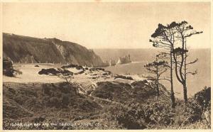 (y08) Wight Alum Bay and the Needles Postcard