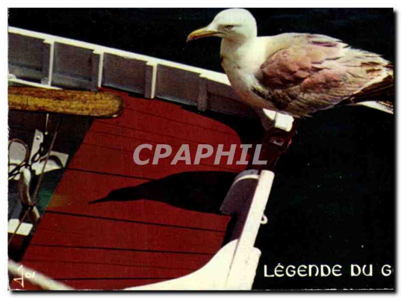 Postcard Modern Britain Legende Du Goeland bird