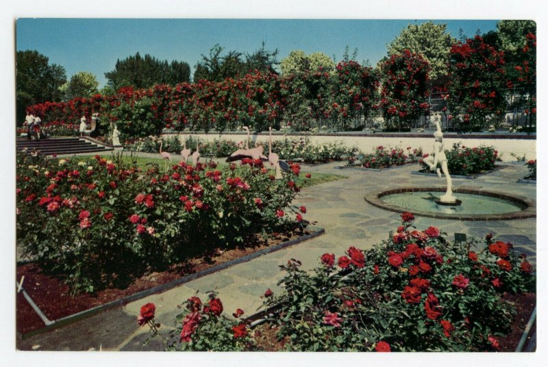 Postcard Sunken Rose Court Lambert Gardens Portland Ore. Standard View Card