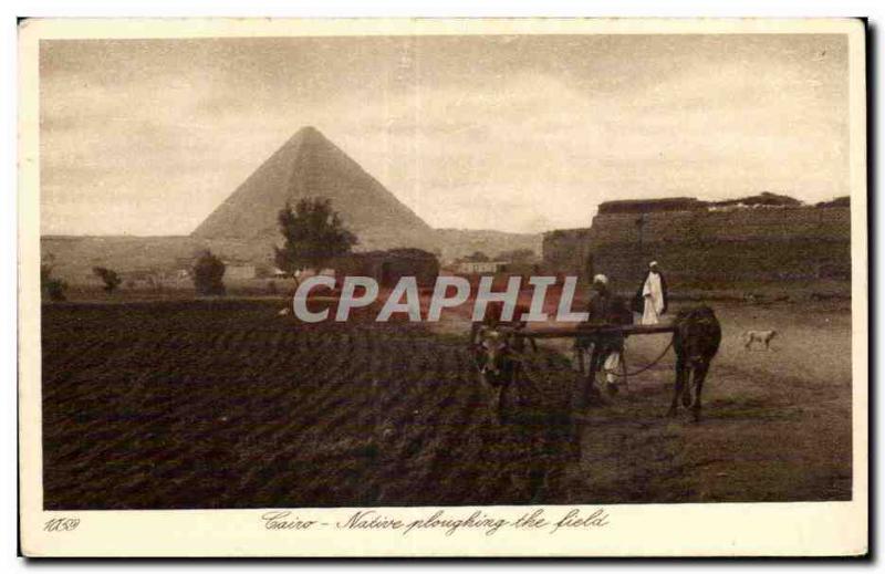 Afrique - Africa - Egypte - Egypt - Le Caire - Cairo - ploughing the fields - CP