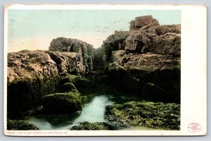 York Beach Maine~Flume Looking In~Cliffs~River~Detroit Pub Co 1909 Postcard