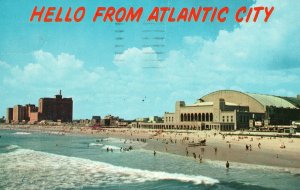 Vintage Postcard Hello from Atlantic City Convention Hall & Hotels World  Beach