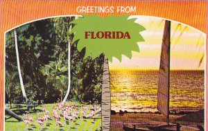 Greetings From Florida Flamingos