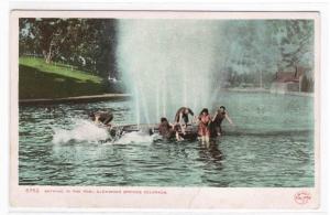 Bathing Pool People Glenwood Springs CO 1910c postcard