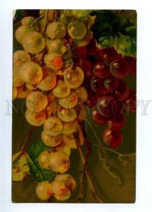 129138 GRAPES by C. KLEIN Vintage Colorful PC