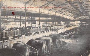 Interior of New Cattle Building New York State Fair Syracuse, New York USA Un...