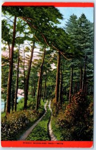 Postcard - Scenic Woodland Trail