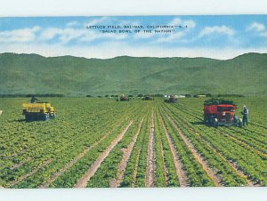 Pre-Chrome FARM SCENE Salinas California CA AG2513