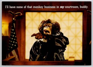 The Chimp Channel Monkey Network 1999 Max Racks Postcard L33