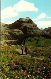 Going to the Sun Mountain Logan Pass Glacier National Park Montana Postcard