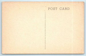 DELAWARE, Ohio OH  Lyons Art Hall OHIO WESLEYAN UNIVERSITY Albertype Postcard