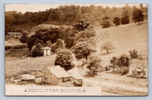 J87/ Bellville Ohio RPPC Postcard c1910 Homes Road Suburban Mansfield 811
