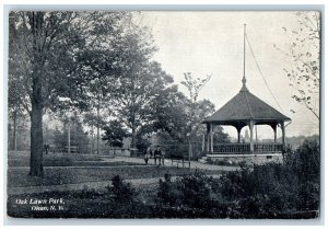 c1910 Oak Lawn Park Scenic View Trees Olean New York NY Antique Vintage Postcard 