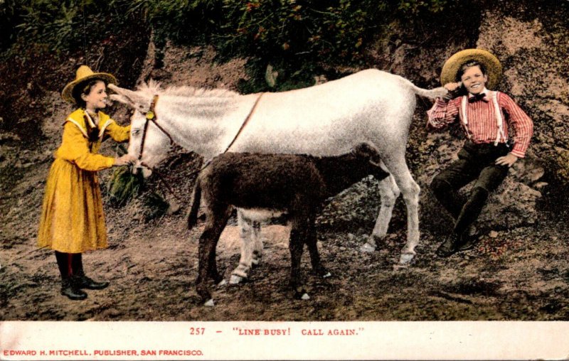 Donkeys Lain Busy Call Again 1907