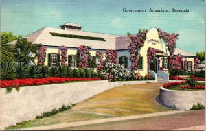 Government Aquarium Building Streetview Bermuda Linen Cancel WOB Postcard