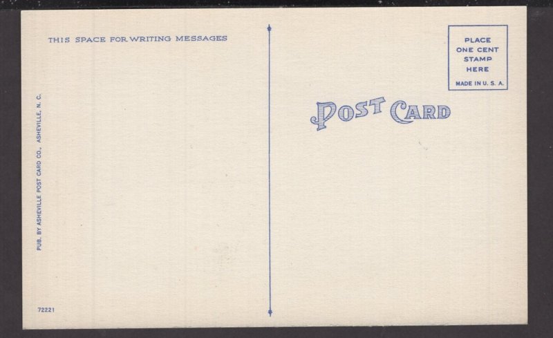 Virginia Pulaski - Peak's Knob ~ Linen