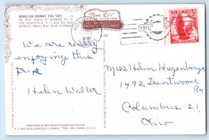 c1961 Honolulu Hawaii HI Vintage Postcard Monkey Pod Tree Main Source Hardwood