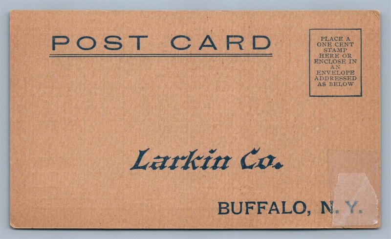 BUFFALO NY LARKIN CO. ADVERTISING ANTIQUE POSTCARD