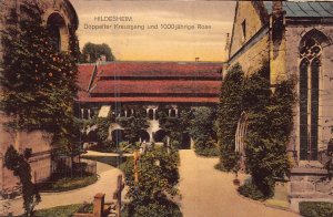 HILDESHEIM LOWER SAXONY GERMANY~DOPPELTER KREUZGANG JAHRIGE ROSE~PHOTO POSTCARD