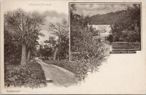 Valley City ND North Dakota City Park Dam Multiview Postcard E46 UNUSED