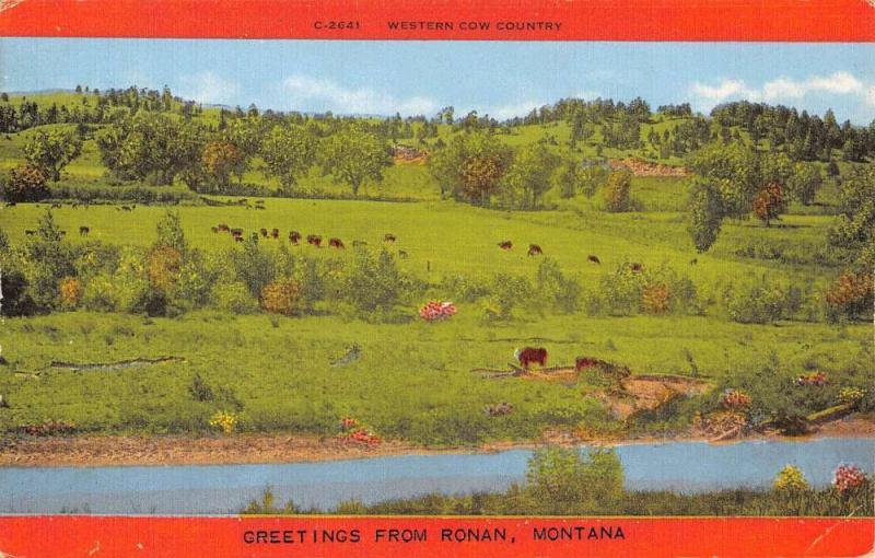 Ronan Montana Cow Pasture Greeting Antique Postcard K105158
