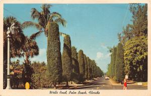 Palm Beach Florida~Wells Road~Lady @ Street Corner~50s Car~Fancy Lamppost~Palms