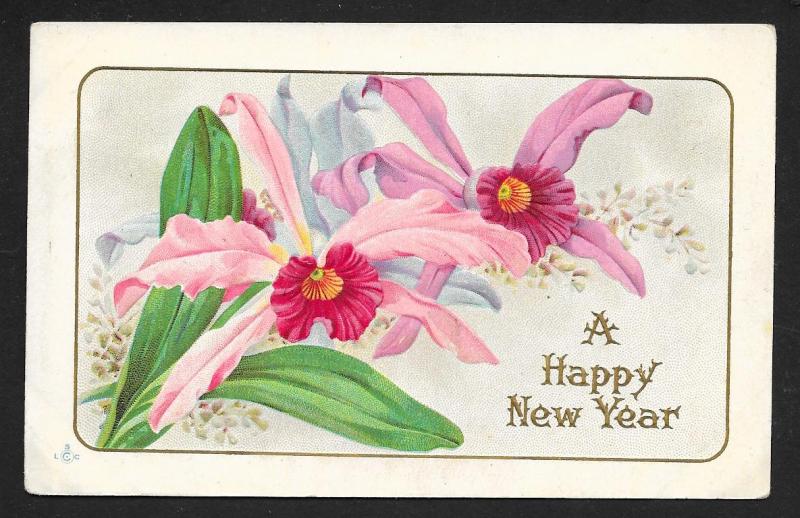 A Happy New Year Flowers Used c1910s