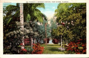 Florida Fort Myers Beautiful View On Thomas A Edison's Estate 1944