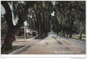 Marengo Avenue lined with Weeping Willow Trees, PASADENA, California, 00-10s