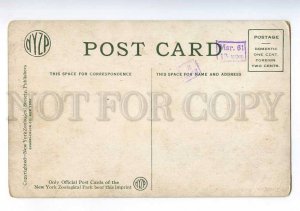 213884 USA NEW-YORK Zoological Park flying cage Old postcard