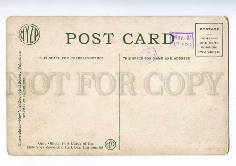 213884 USA NEW-YORK Zoological Park flying cage Old postcard