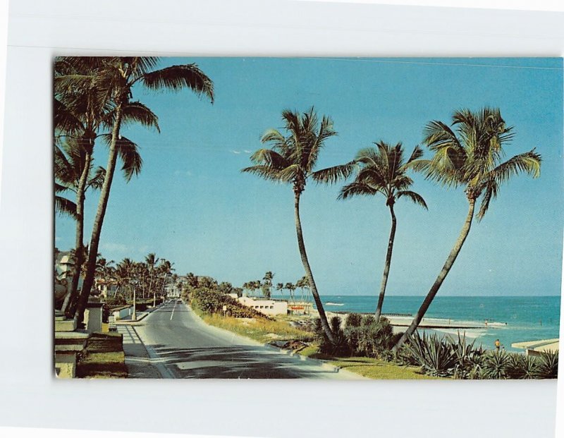 Postcard View Of Beach As Seen From Ocean Blvd., In Palm Beach, Florida
