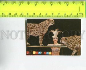 481881 USSR 1983 circus cheetah trainer Marina Mayatskaya old Pocket CALENDAR