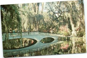 postcard South Carolina - Magnolia Gardens, Charleston County