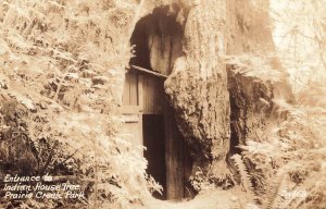 PRAIRIE CREEK PARK CA~ENTRANCE TO  INDIAN HOUSE TREE-1930s REAL PHOTO POSTCARD