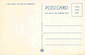 County Building Waterloo New York 1930s postcard