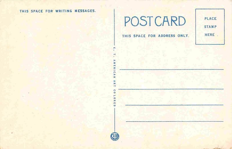 County Building Waterloo New York 1930s postcard