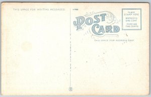 Clinton Iowa 1920s Postcard Public Library Flag