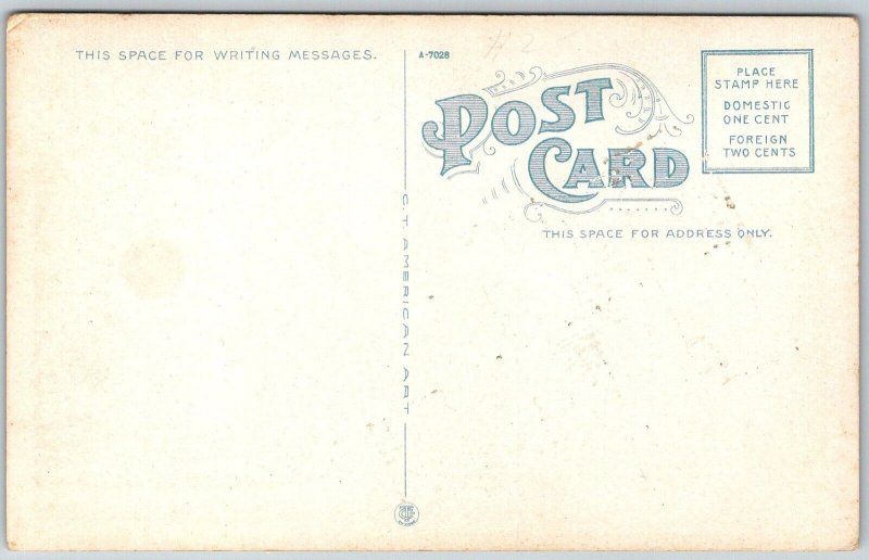 Clinton Iowa 1920s Postcard Public Library Flag