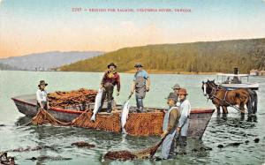 COLUMBIA RIVER OREGON~SEINING FOR SALMON-HORSES PULL NET MITCHELL POSTCARD 1910s