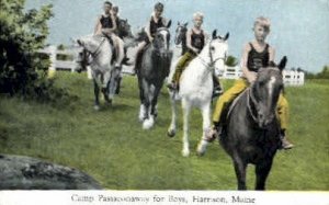 Camp Passaconaway for Boys in Harrison, Maine