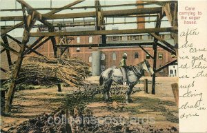 Carrying Cane to the Sugar House, Unknown Location, Collectible, Frerichs