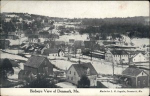 Denmark Maine ME Bird's Eye View Winter c1910 Vintage Postcard