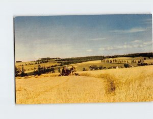 M-155902 Harvest Time on a Typical Prince Edward Island Farm