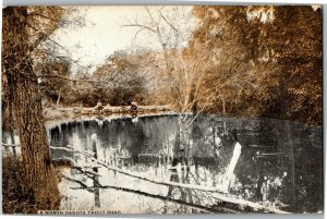 View of a North Dakota Trout Pond c1911 Vintage Postcard E54